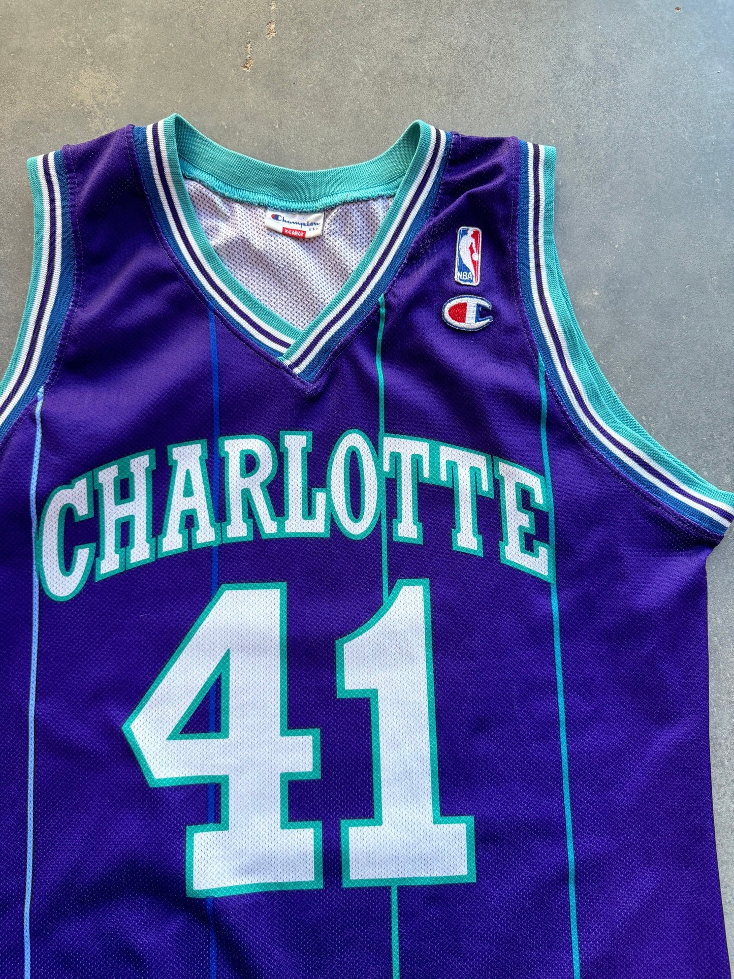 1996/1997 Charlotte Hornets Glen Rice Vintage Euro Release Purple Pinstriped Champion NBA Jersey (XL)