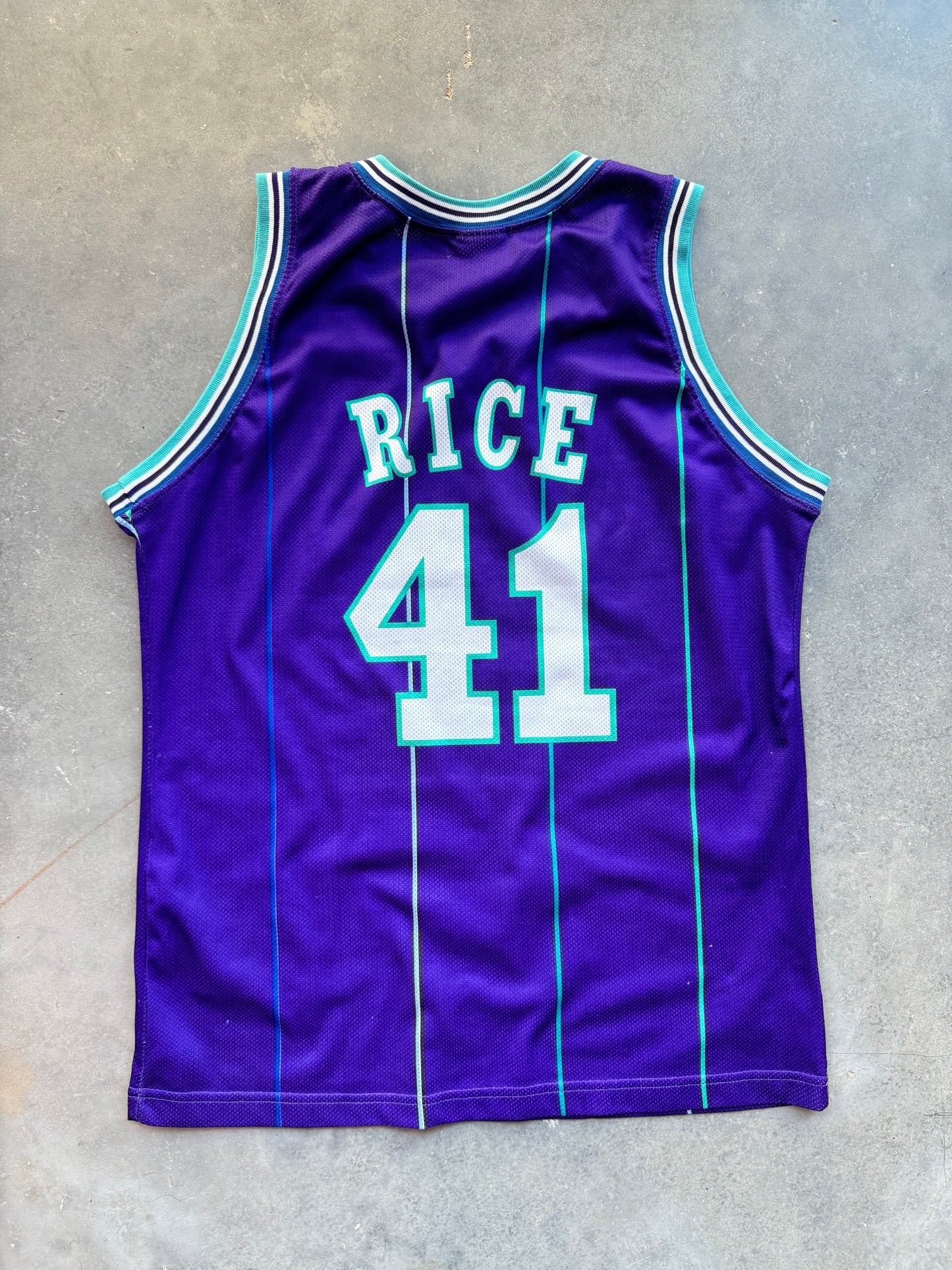 1996/1997 Charlotte Hornets Glen Rice Vintage Euro Release Purple Pinstriped Champion NBA Jersey (XL)