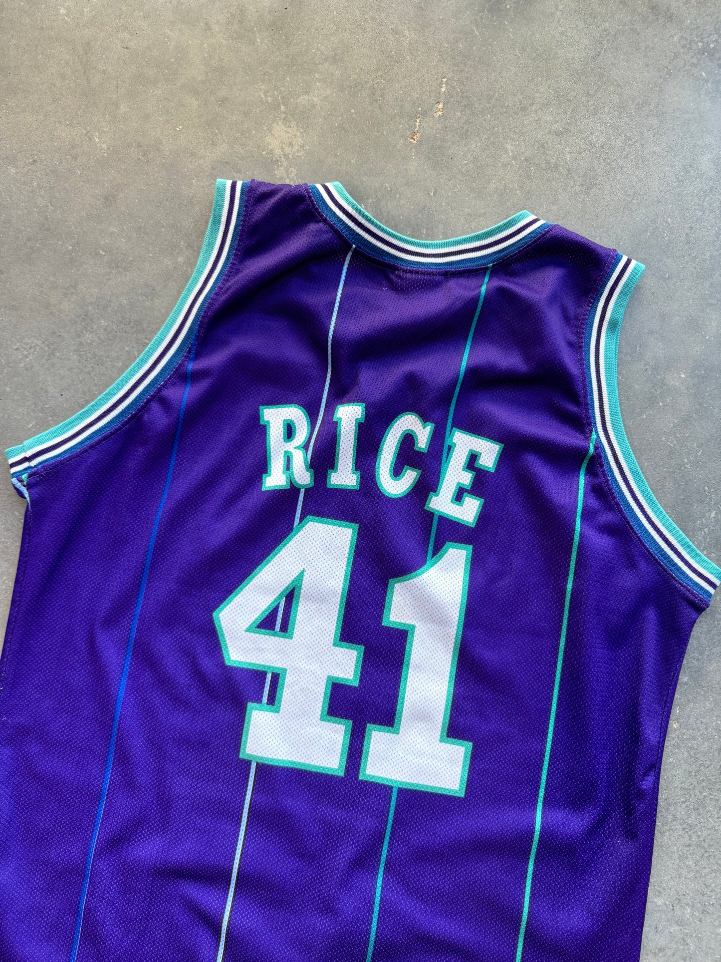 1996/1997 Charlotte Hornets Glen Rice Vintage Euro Release Purple Pinstriped Champion NBA Jersey (XL)