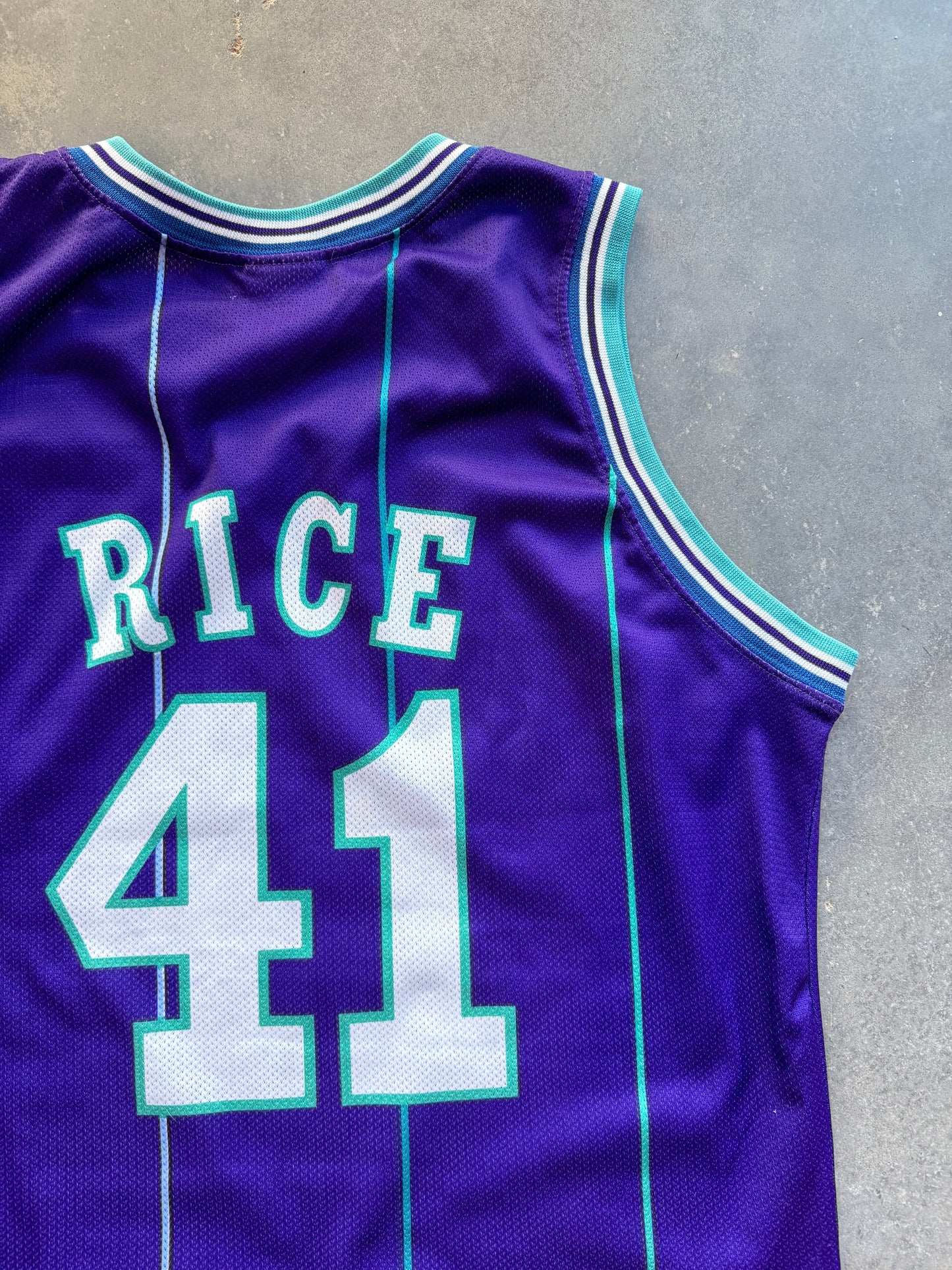 1996/1997 Charlotte Hornets Glen Rice Vintage Euro Release Purple Pinstriped Champion NBA Jersey (XL)