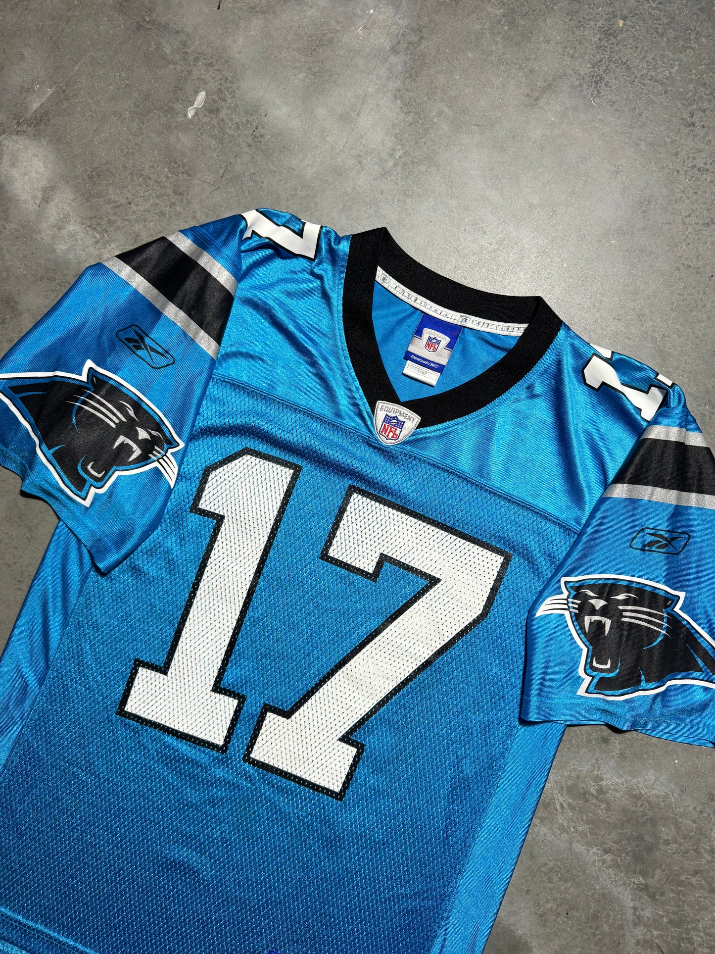 00’s Carolina Panthers Jake Delhomme Vintage Electric Blue Alternate Reebok NFL Jersey (Small)