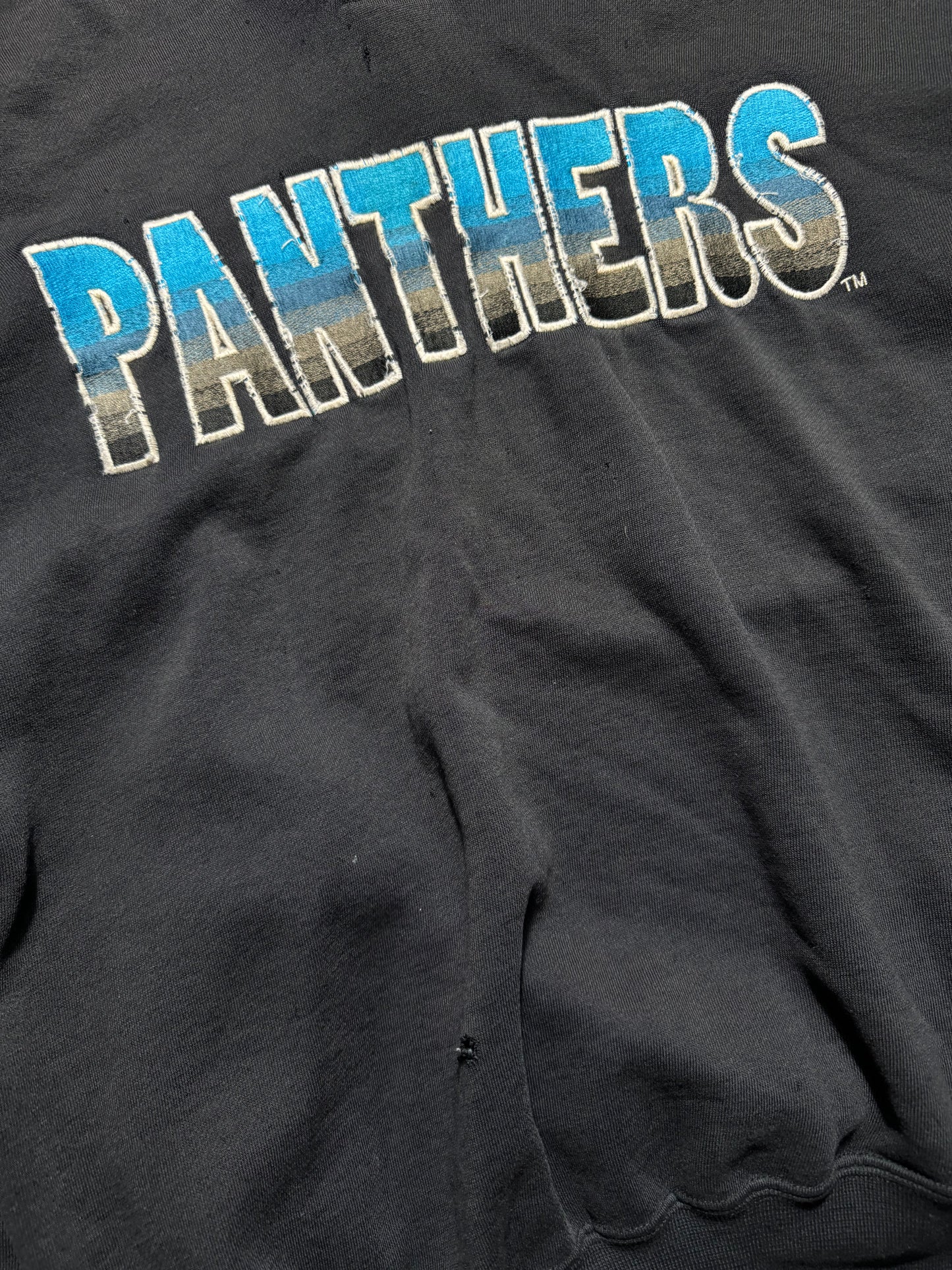 90’s Carolina Panthers Vintage Black Starter Distressed Heavyweight Embroidered NFL Hoodie (Large)