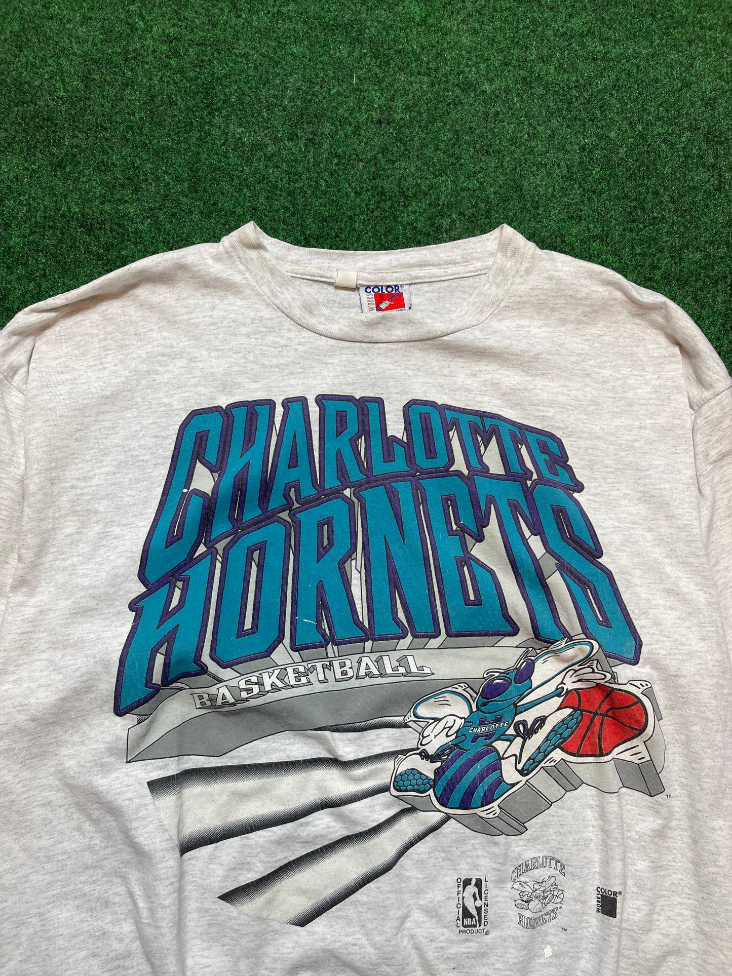 90’s Charlotte Hornets Vintage Big Graphic NBA Tee (XXL)