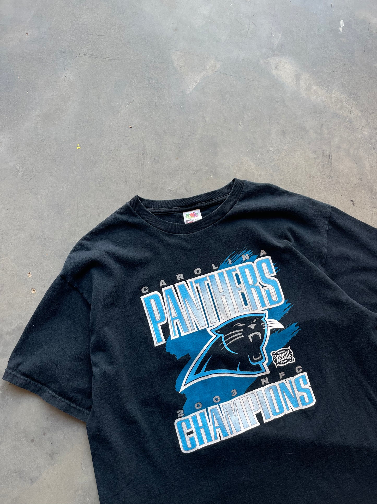 2003 Carolina Panthers Vintage NFC Champions NFL Tee (XL)