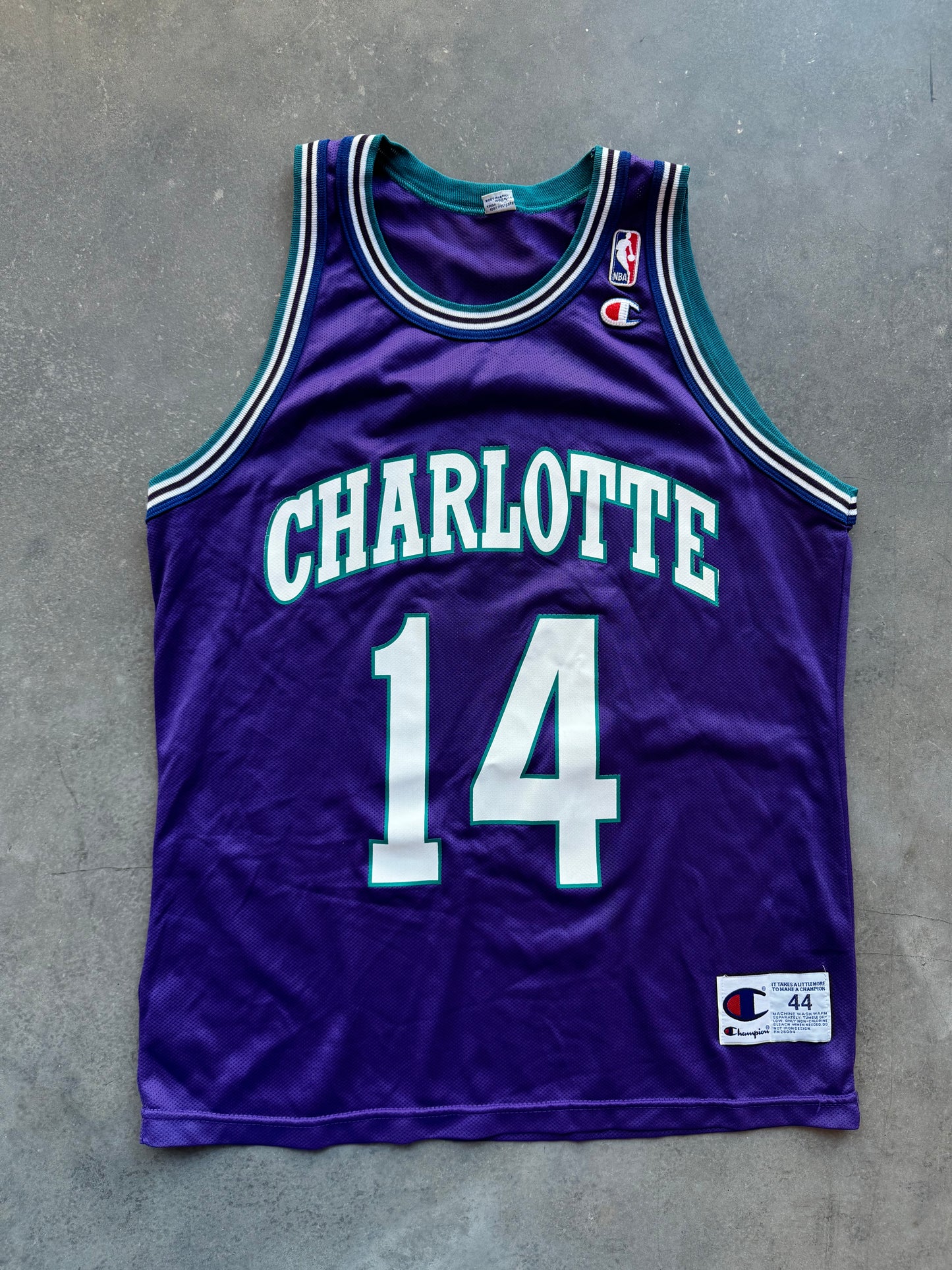 1996/1997 Charlotte Hornets Anthony Mason Vintage Purple Alternate Champion NBA Jersey (44/Large)