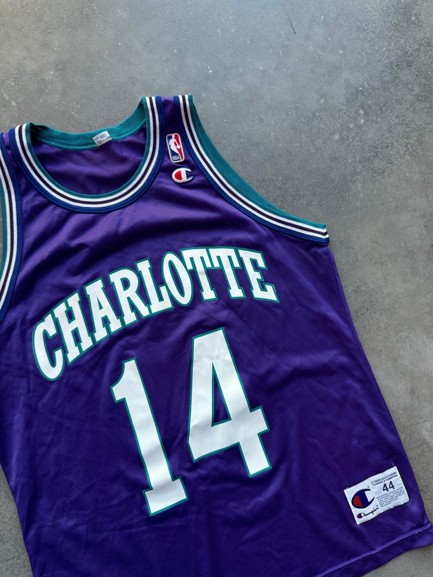 1996/1997 Charlotte Hornets Anthony Mason Vintage Purple Alternate Champion NBA Jersey (44/Large)