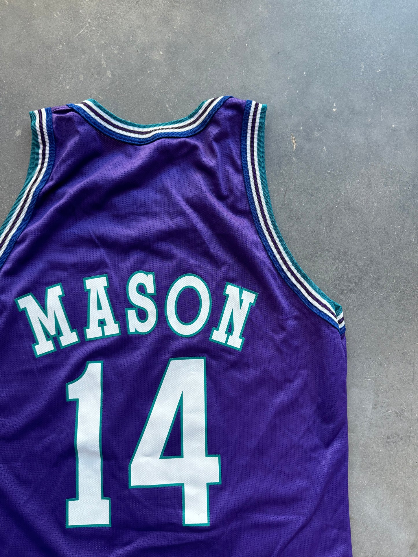 1996/1997 Charlotte Hornets Anthony Mason Vintage Purple Alternate Champion NBA Jersey (44/Large)