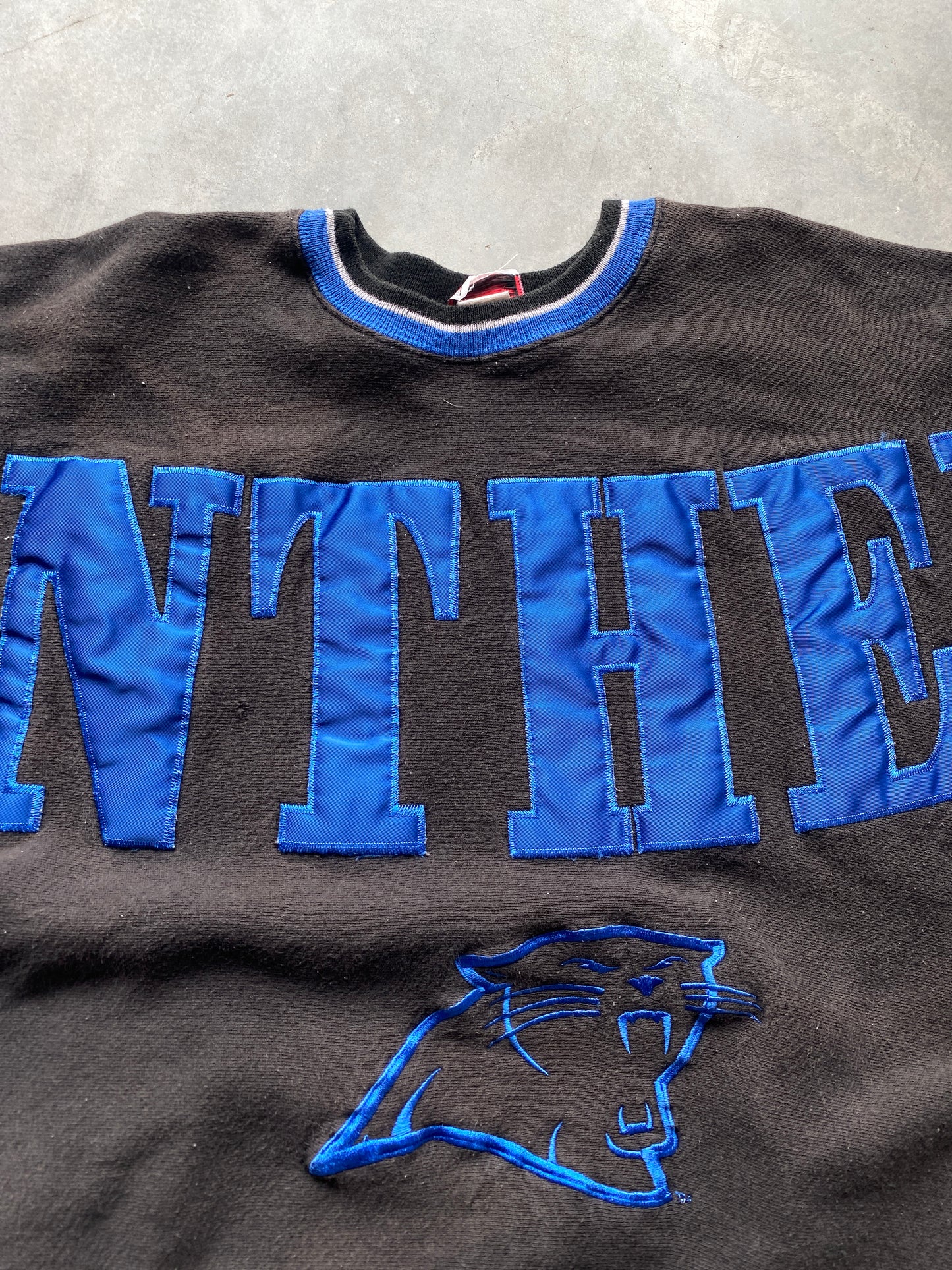 90’s Carolina Panthers Embroidered Spellout Vintage NFL Heavyweight Crewneck (Large)