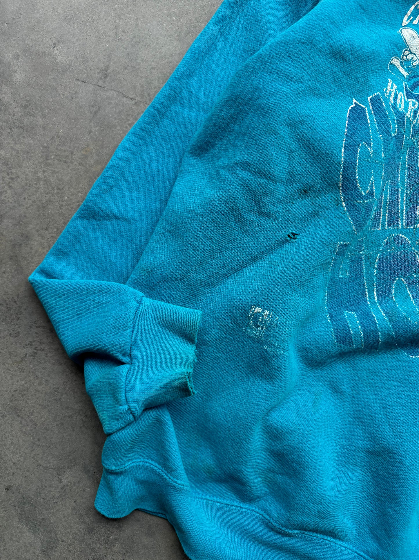 90’s Charlotte Hornets Vintage Zubaz Distressed Teal NBA Crewneck (XL)