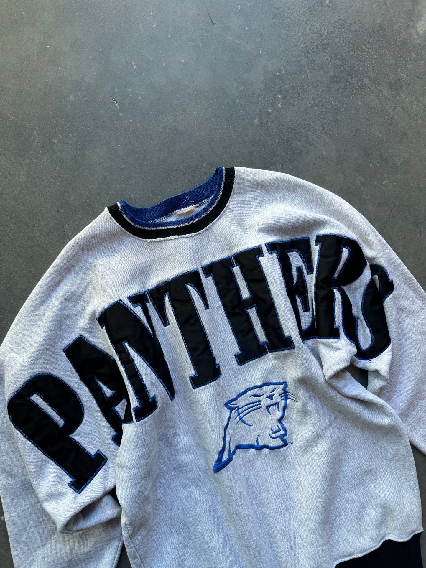 90’s Carolina Panthers Vintage Legends Sportswear Shoulder to Shoulder Embroidered NFL Spellout Crewneck (Large)