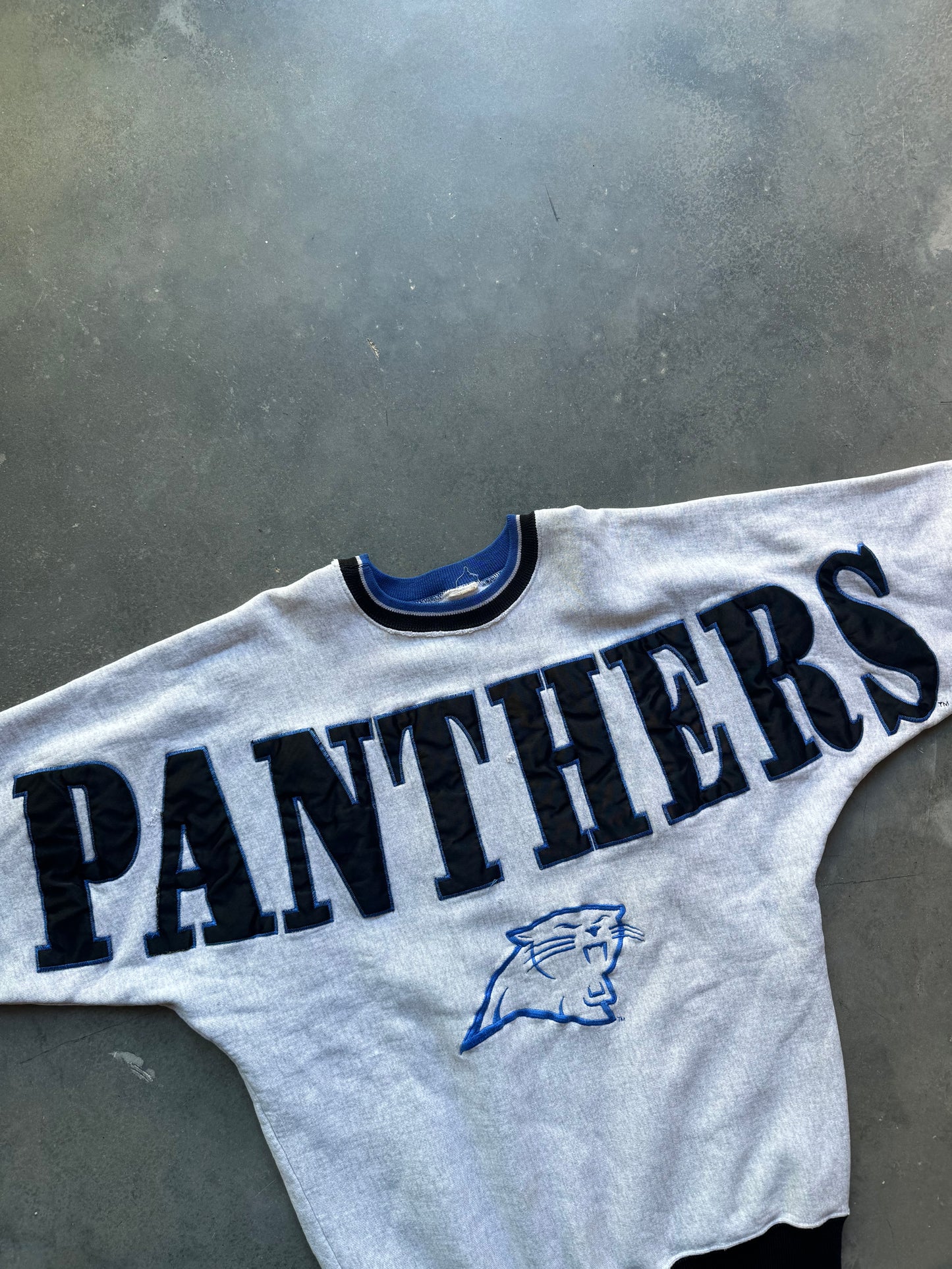 90’s Carolina Panthers Vintage Legends Sportswear Shoulder to Shoulder Embroidered NFL Spellout Crewneck (Large)