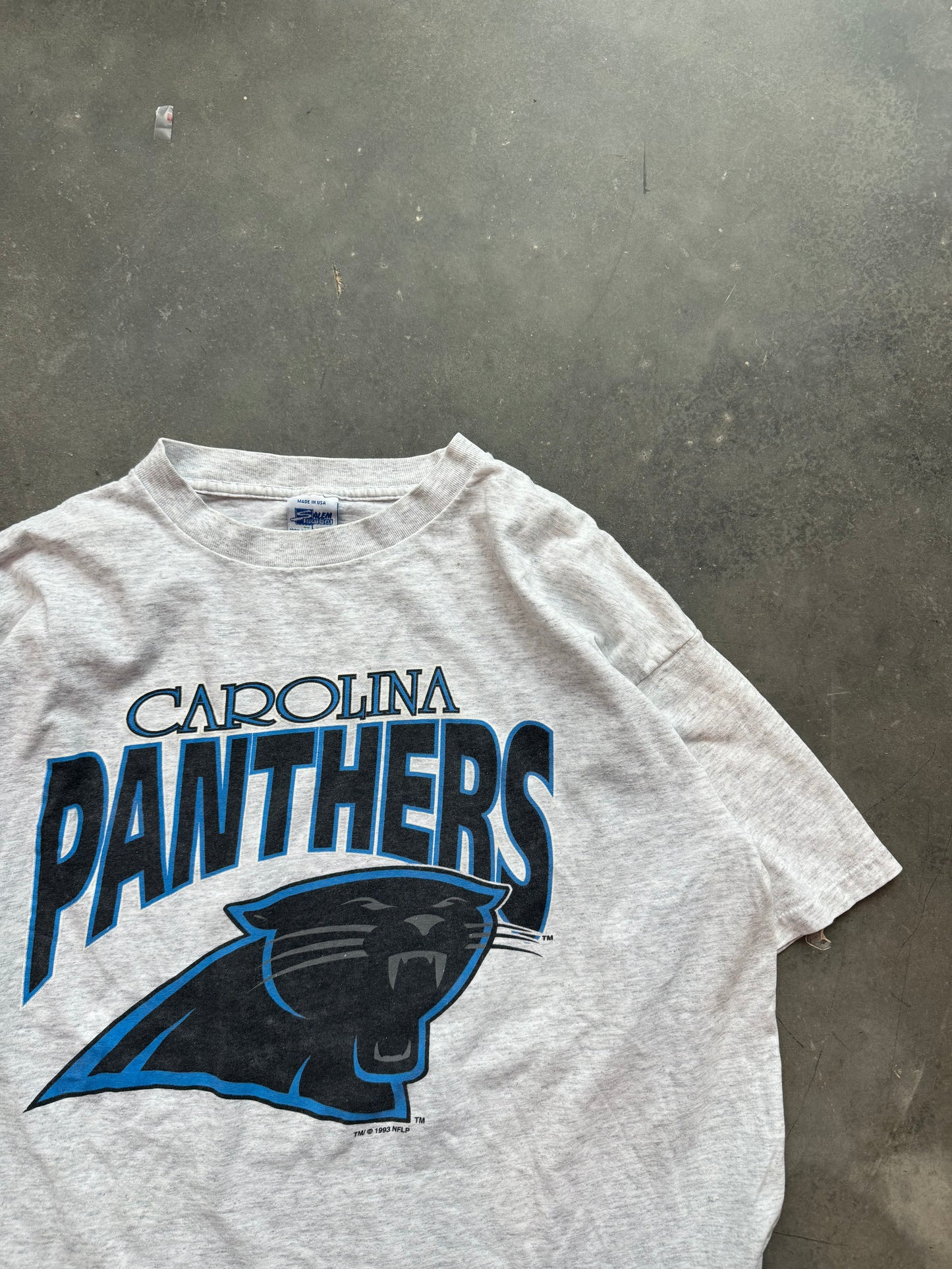 1993 Carolina Panthers Vintage Salem Sportswear Heather Grey Big Logo NFL Tee (XL)