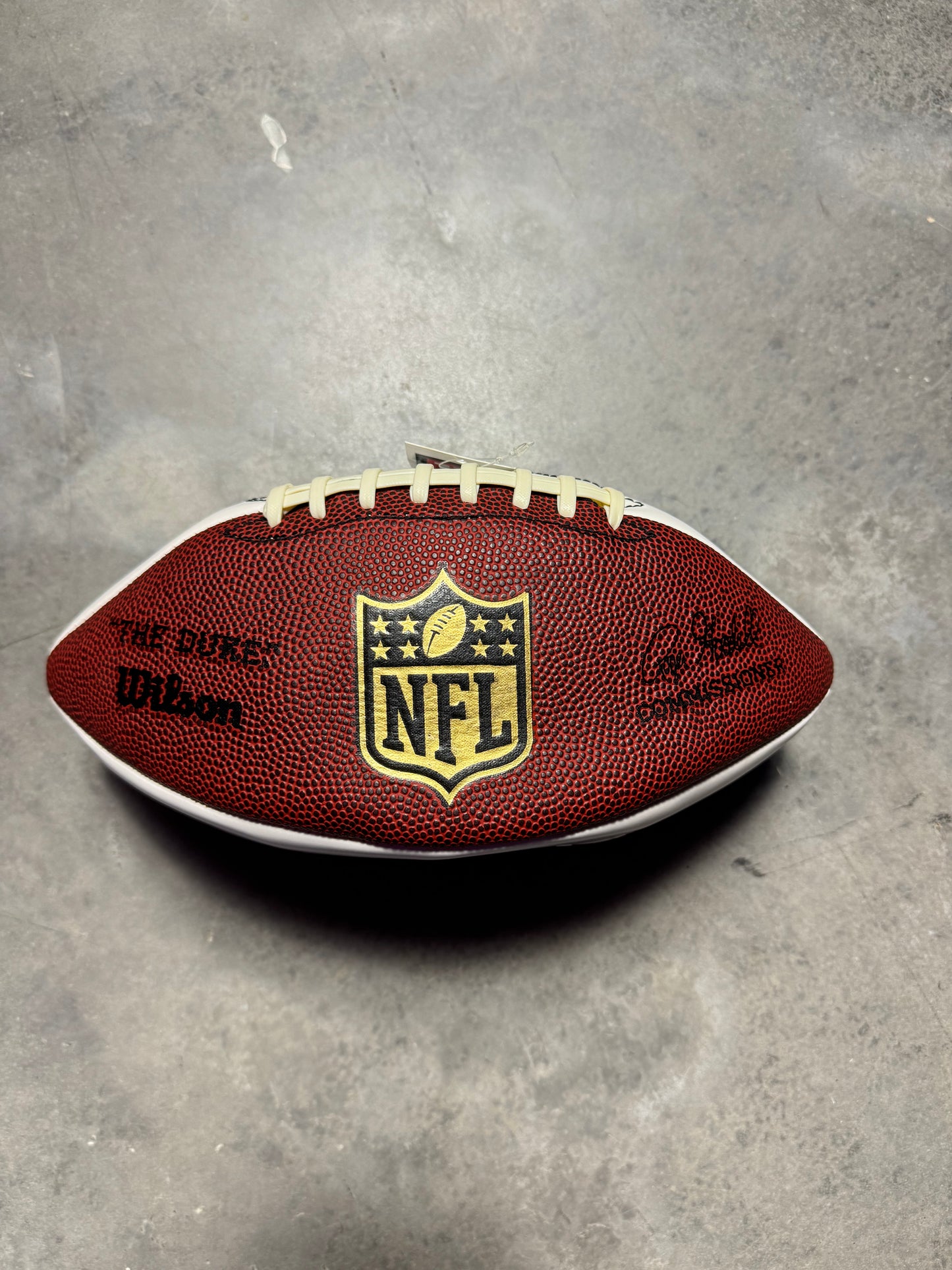 2010’s Carolina Panthers Kelvin Benjamin Signed Wilson NFL Football