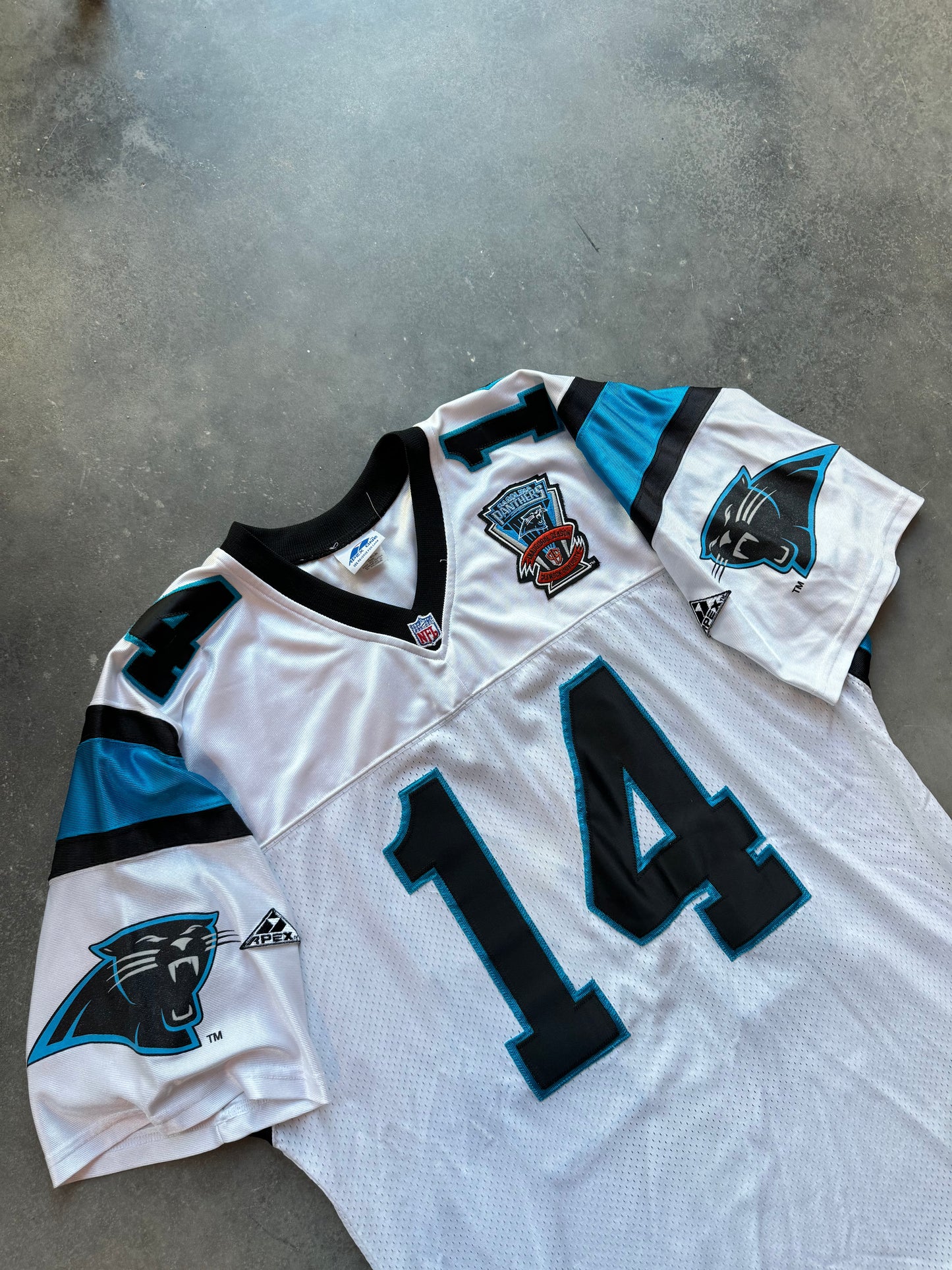 1995 Carolina Panthers Frank Reich Vintage Inaugural Season White Apex One NFL Jersey - Deadstock & Signed (XL)