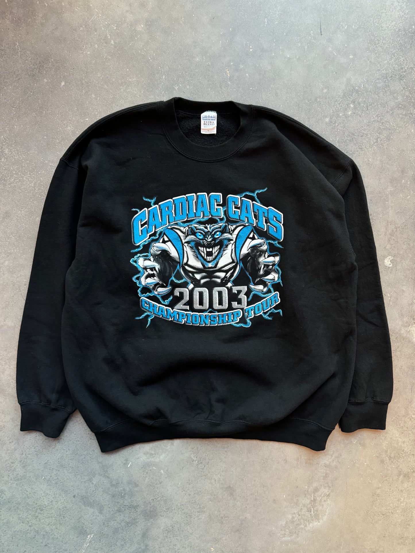 2004 Carolina Panthers Cardiac Cats Super Bowl XXXVIII Vintage Lightning Print “Next Stop, Houston” NFL Parking Lot Style Crewneck (XL)