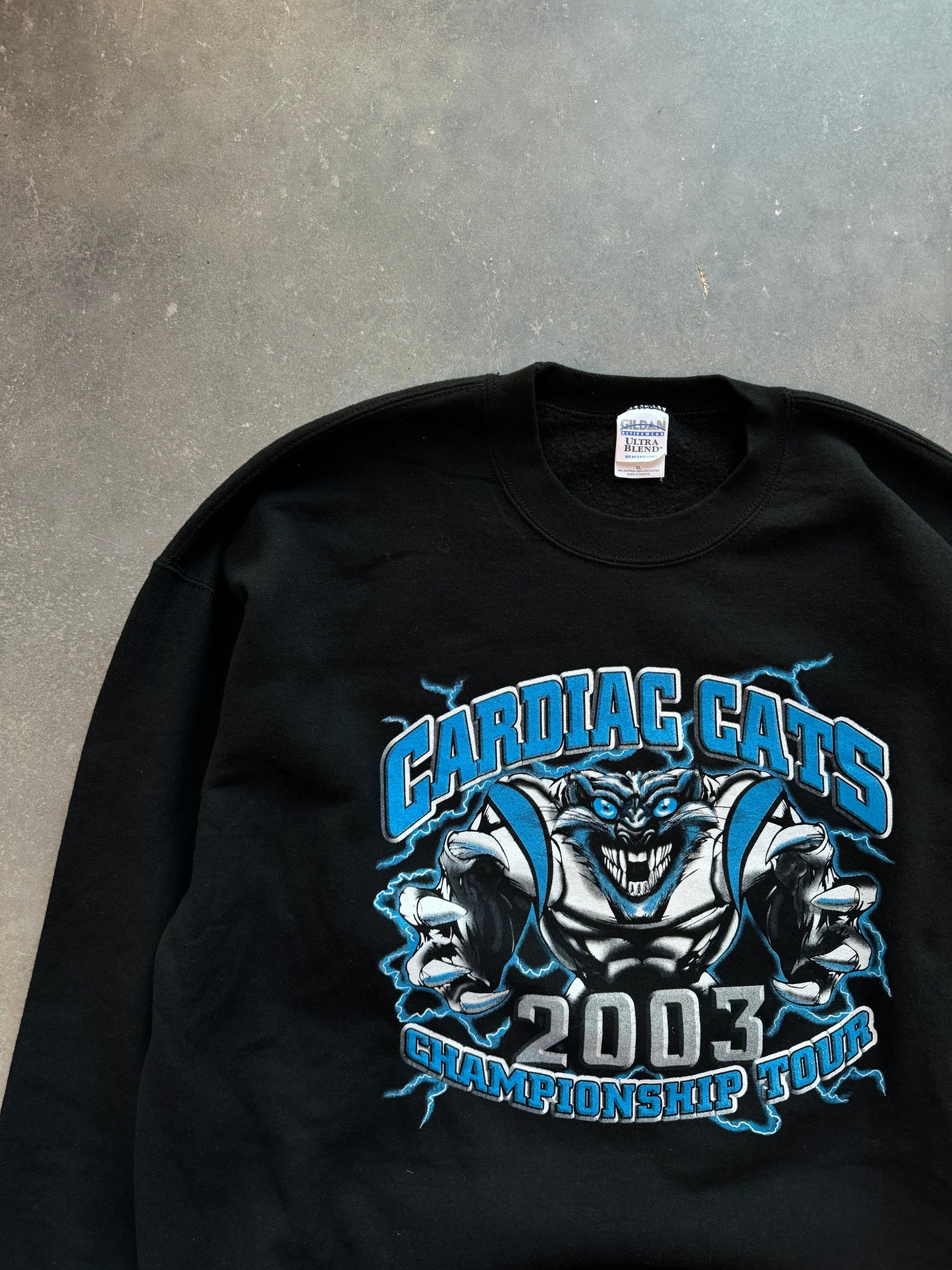 2004 Carolina Panthers Cardiac Cats Super Bowl XXXVIII Vintage Lightning Print “Next Stop, Houston” NFL Parking Lot Style Crewneck (XL)