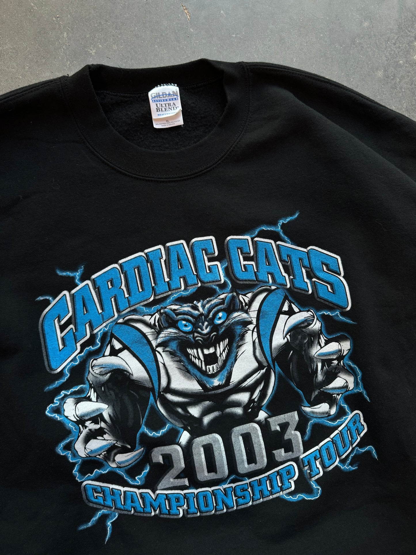 2004 Carolina Panthers Cardiac Cats Super Bowl XXXVIII Vintage Lightning Print “Next Stop, Houston” NFL Parking Lot Style Crewneck (XL)