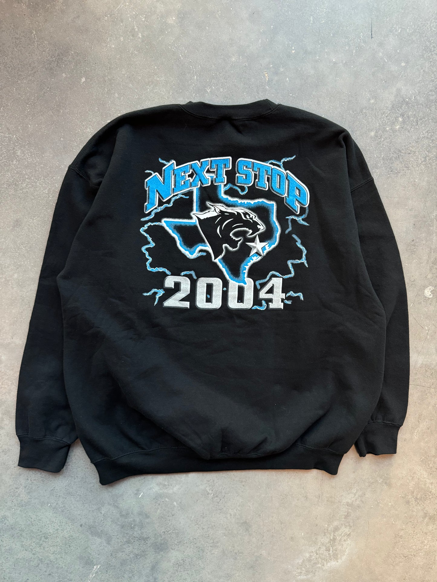 2004 Carolina Panthers Cardiac Cats Super Bowl XXXVIII Vintage Lightning Print “Next Stop, Houston” NFL Parking Lot Style Crewneck (XL)