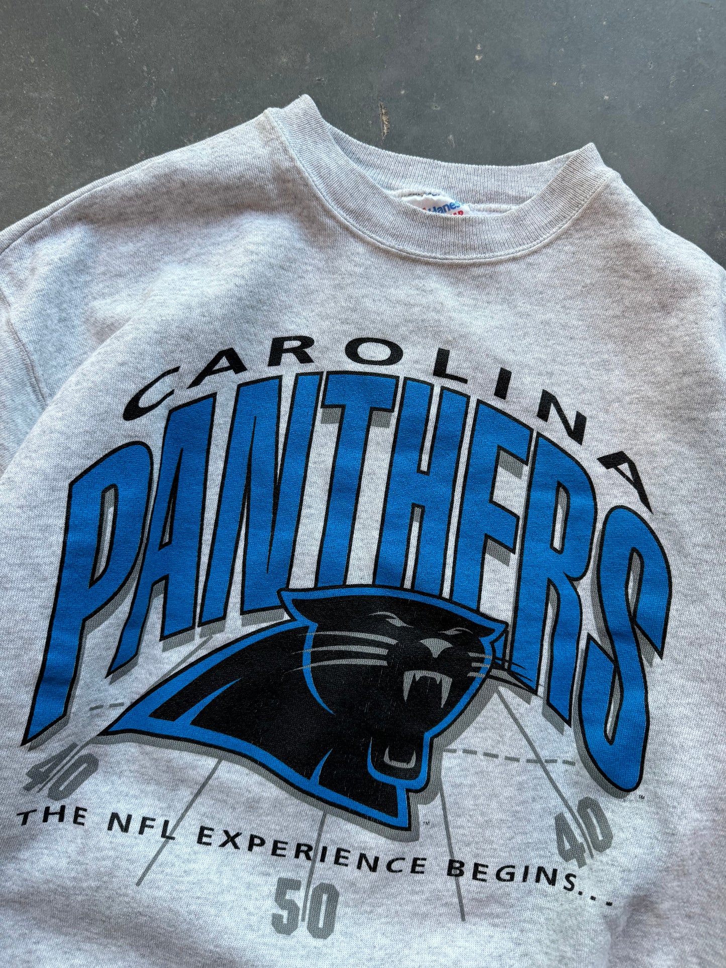 1993 Carolina Panthers “The NFL Experience Begins” Vintage Crewneck (Medium)