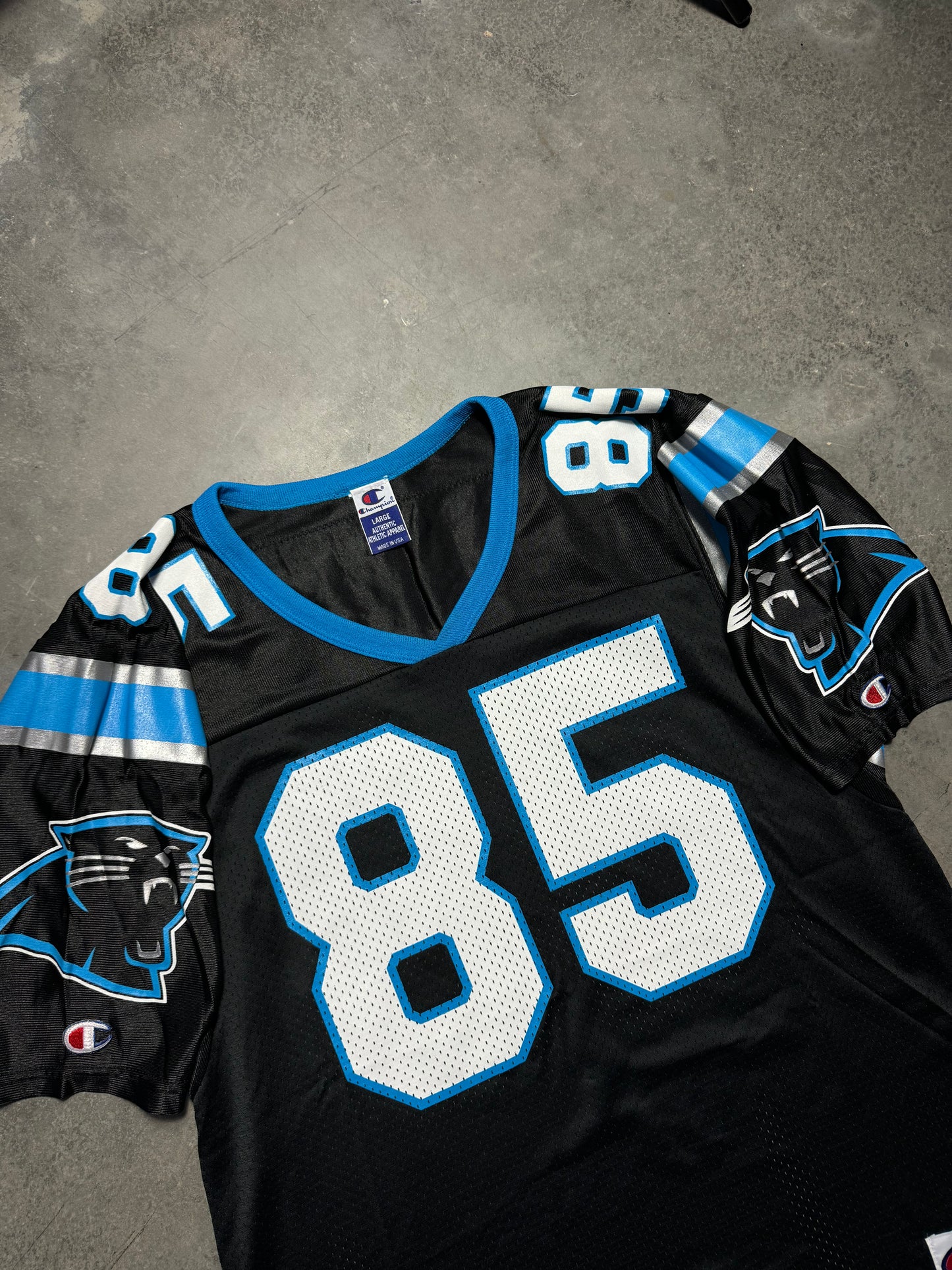 90’s Carolina Panthers Wesley Walls Vintage Black Champion NFL Jersey - Deadstock & Signed (44/Large)