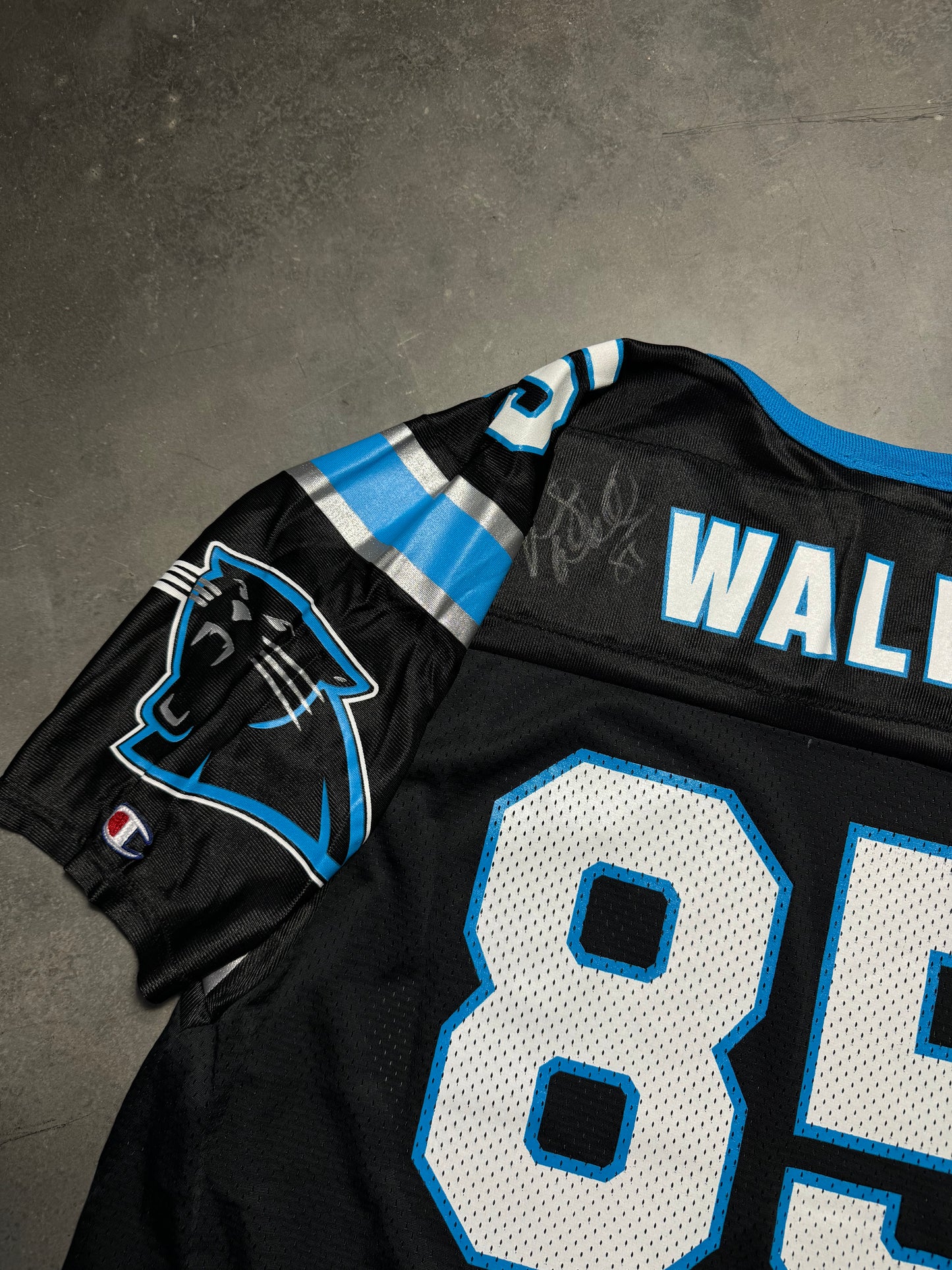 90’s Carolina Panthers Wesley Walls Vintage Black Champion NFL Jersey - Deadstock & Signed (44/Large)
