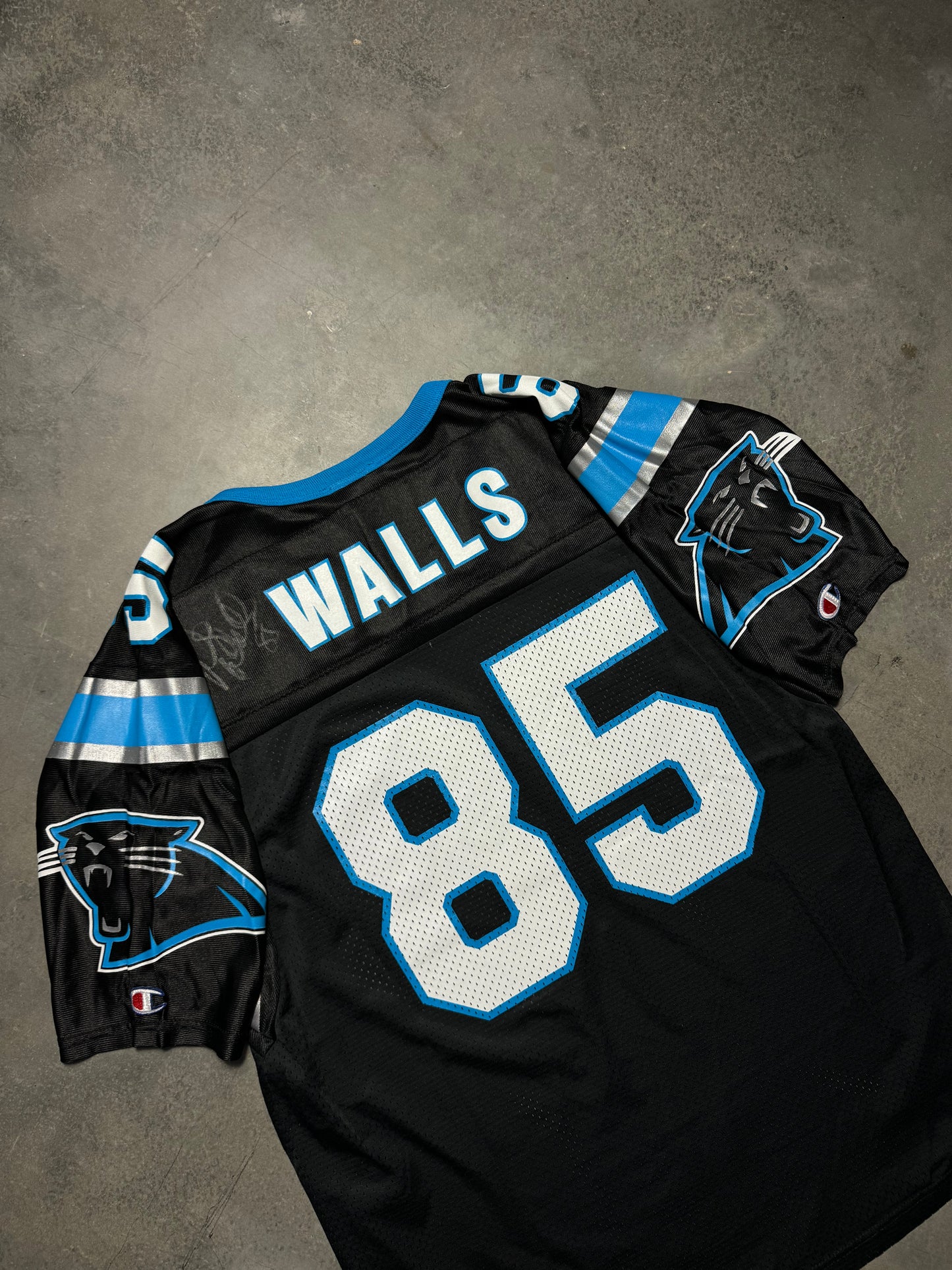 90’s Carolina Panthers Wesley Walls Vintage Black Champion NFL Jersey - Deadstock & Signed (44/Large)