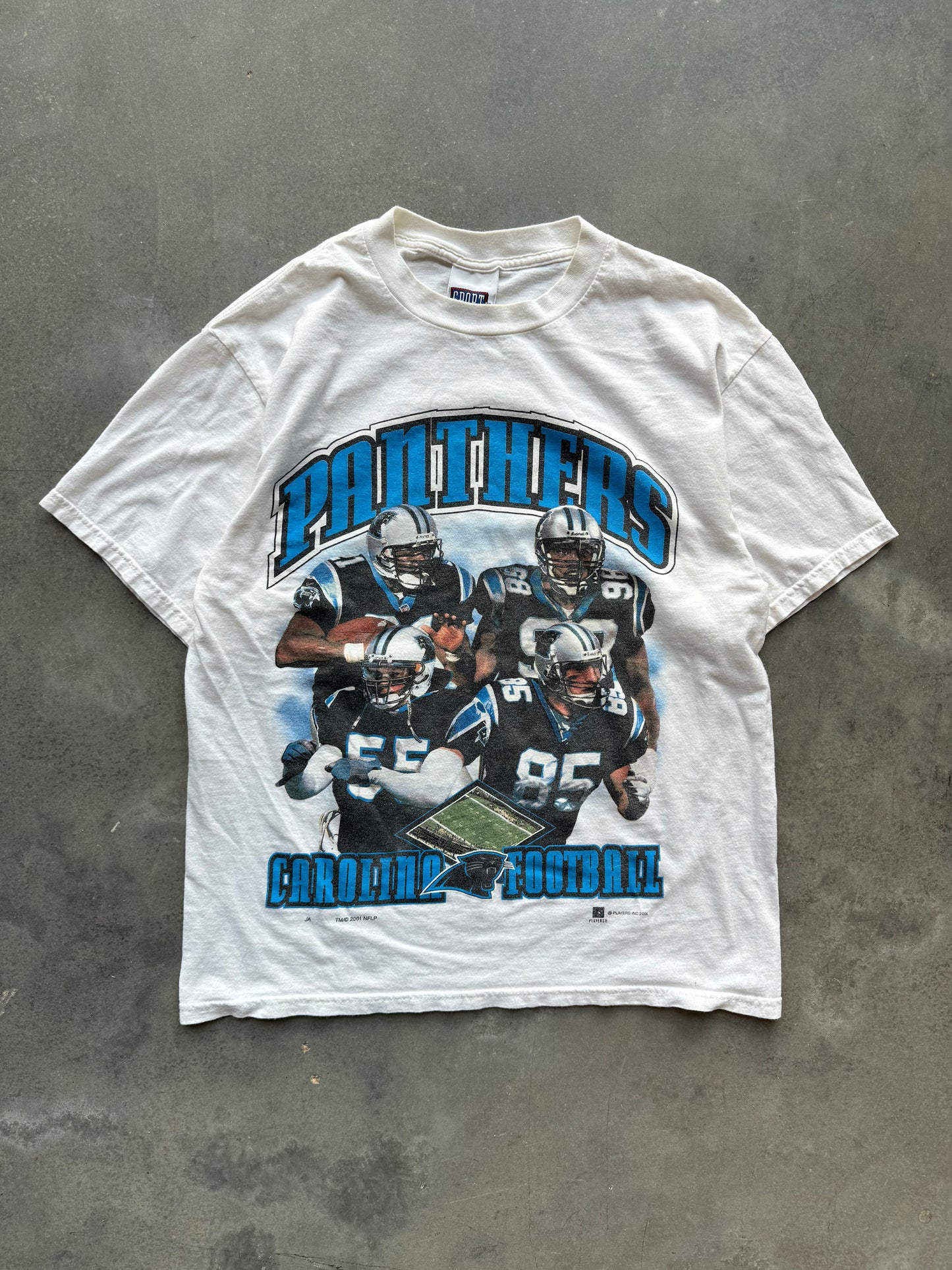 2001 Carolina Panthers Star Players Vintage NFL Arch Spellout Tee (Large)