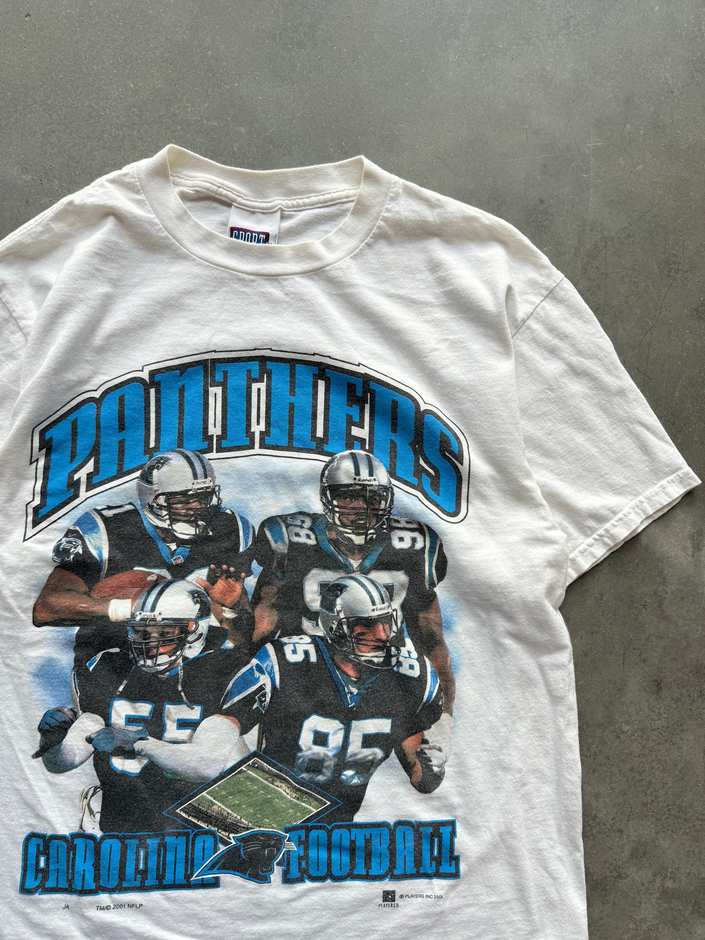 2001 Carolina Panthers Star Players Vintage NFL Arch Spellout Tee (Large)