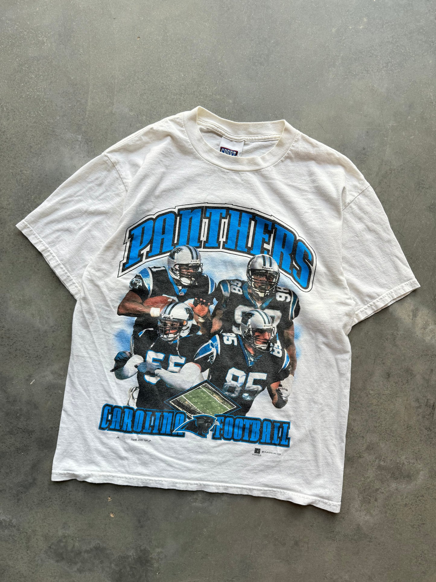 2001 Carolina Panthers Star Players Vintage NFL Arch Spellout Tee (Large)