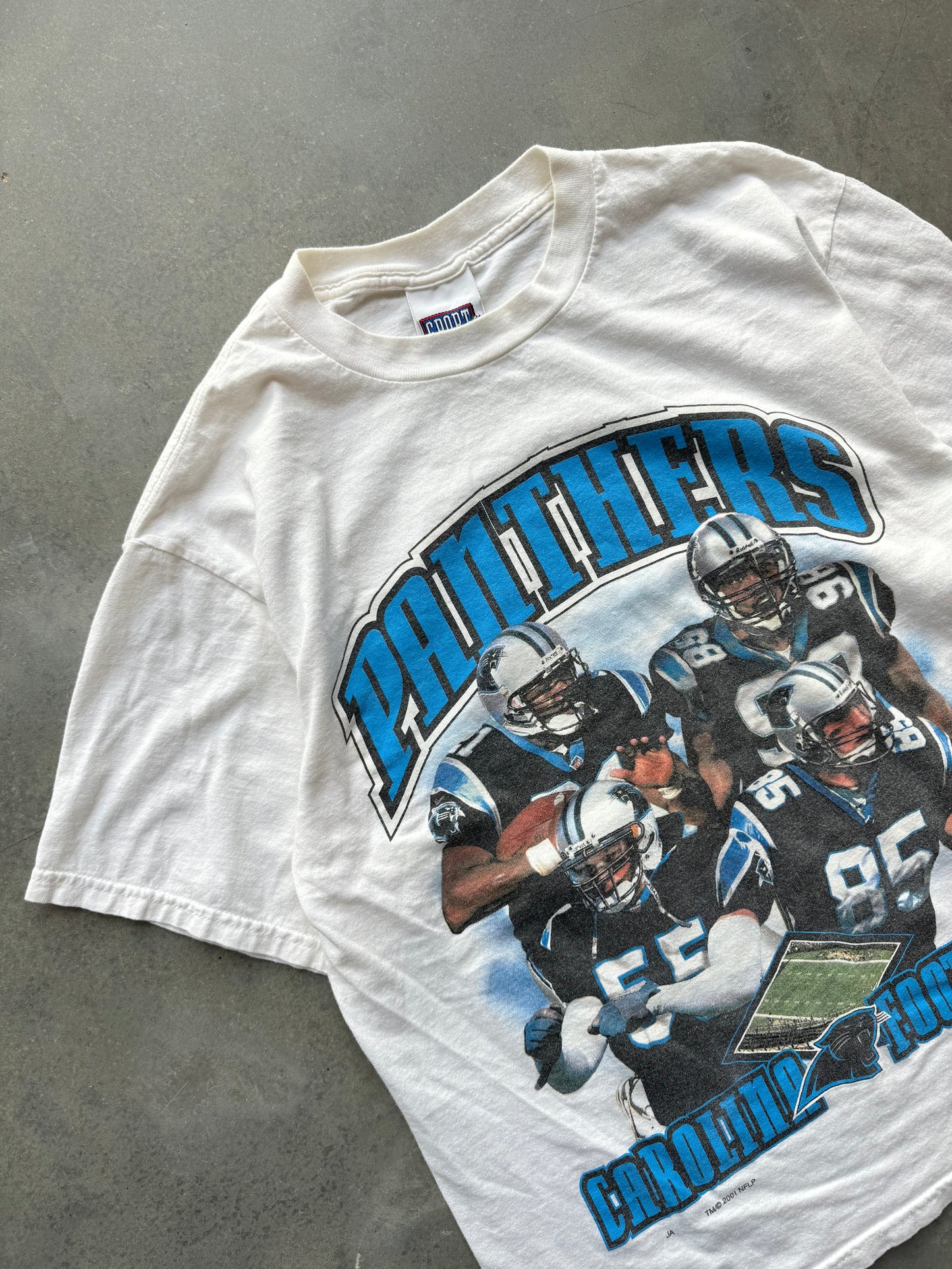 2001 Carolina Panthers Star Players Vintage NFL Arch Spellout Tee (Large)